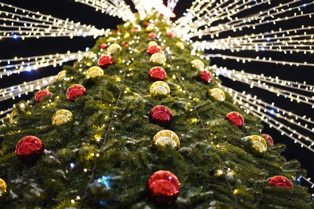 В этом году на катке впервые установлена большая новогодняя елка