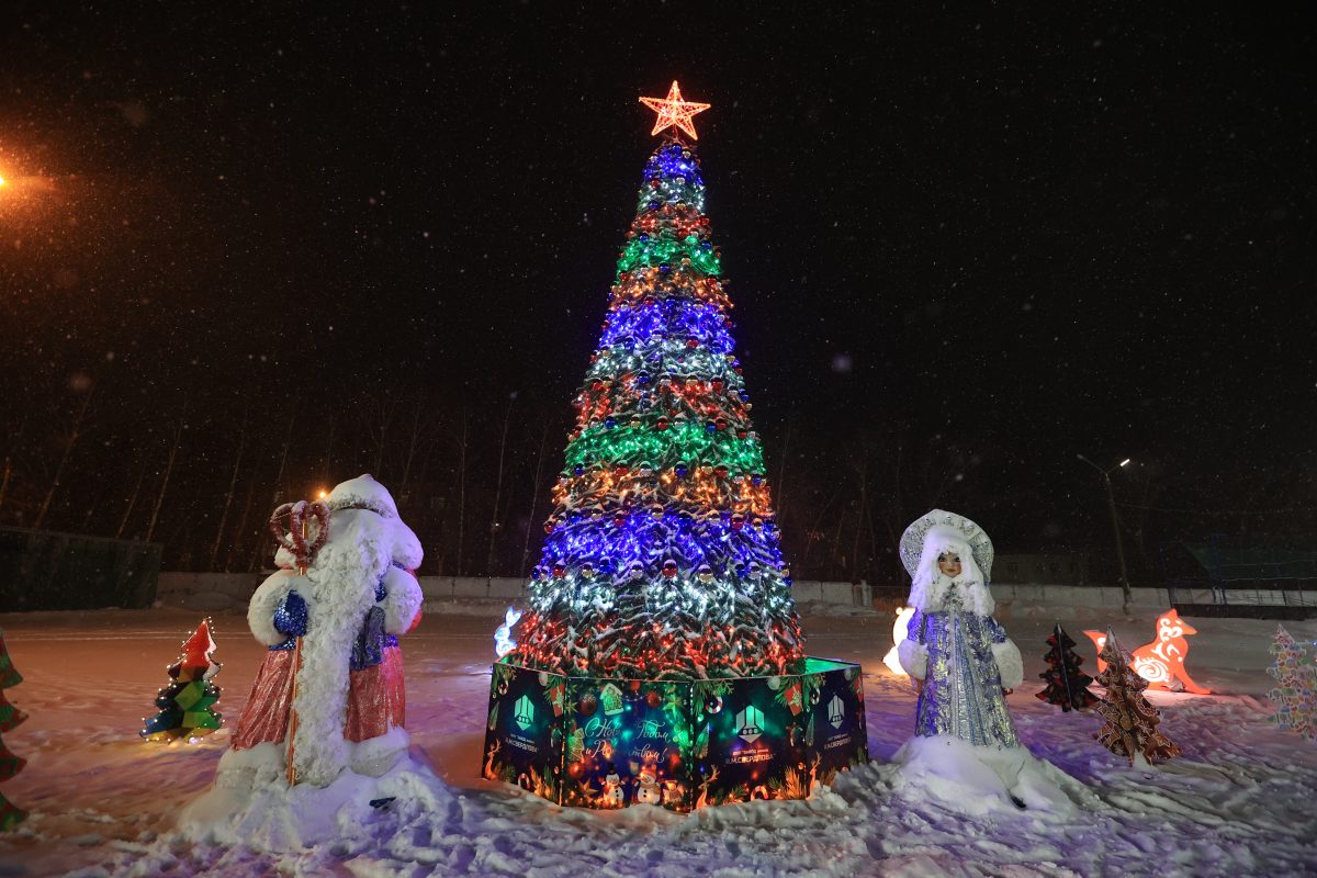 В Дзержинске открылась новогодняя ёлка на Свердлова