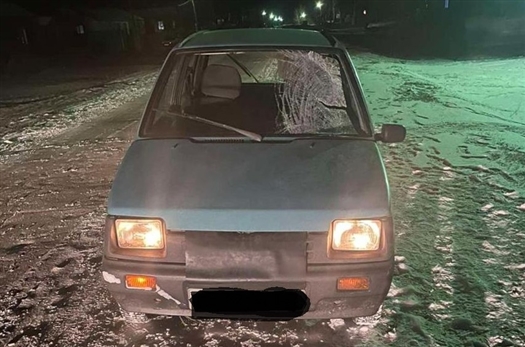 Нетрезвый водитель сбил подростка в Самарской области
