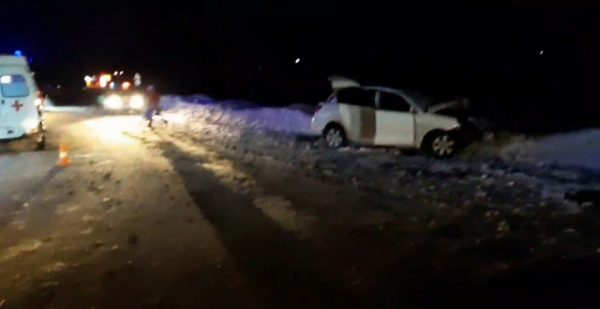 Два водителя погибли в ДТП в Богородском районе