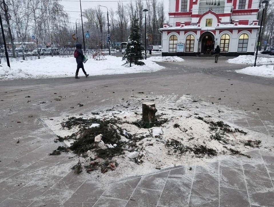 Стало известно, куда исчезла новогодняя елка из сквера 70 лет Октября в Сормовском районе