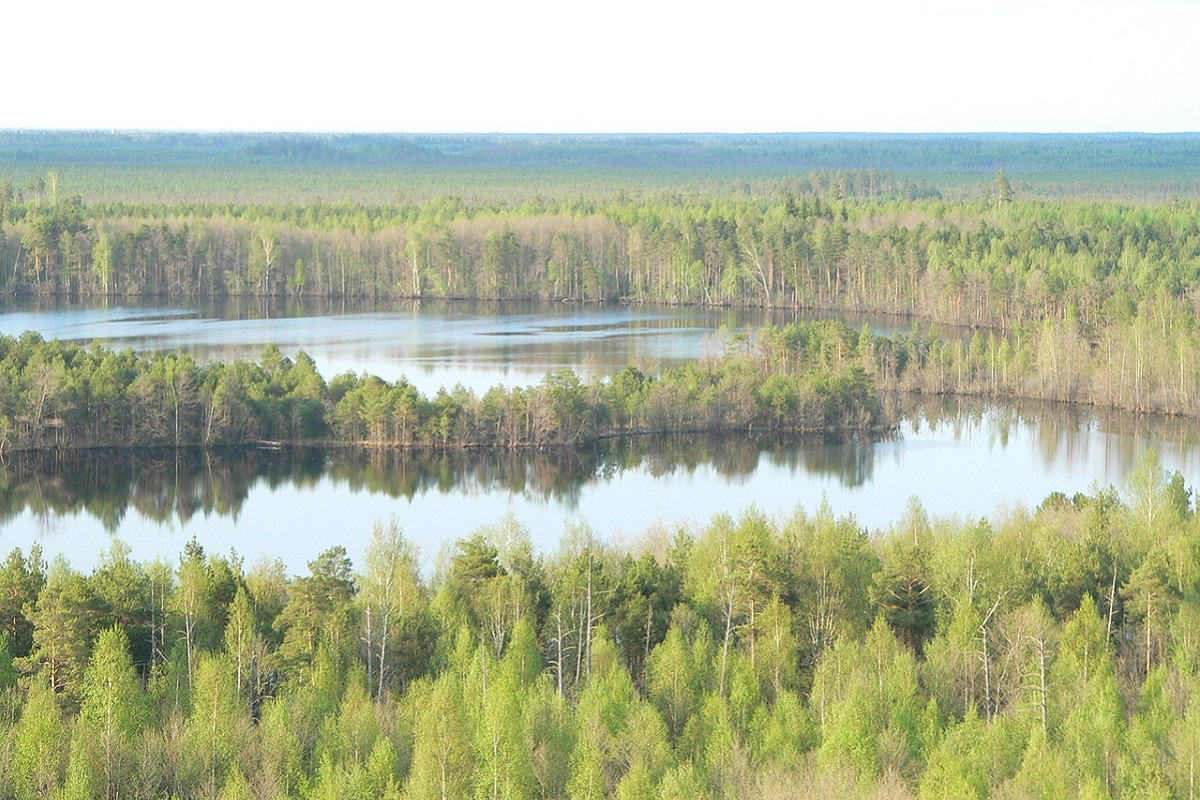 В Нижегородской области создают Национальный парк: какие уникальные территории он объединит