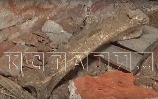 В Балахне выясняют происхождение человеческих останков, обнаруженных при ремонте школы