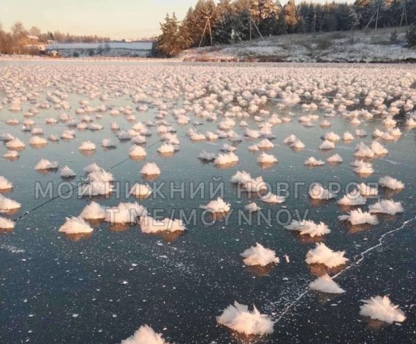 «Ледяные цветы» появились на реке Кудьме в Нижегородской области