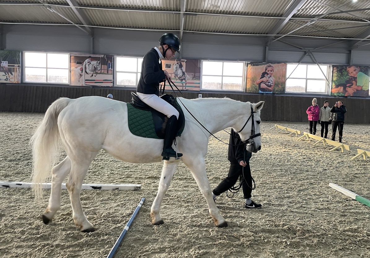 Фестиваль по адаптивному конному спорту «Добрая лошадка» состоялся в Нижнем Новгороде