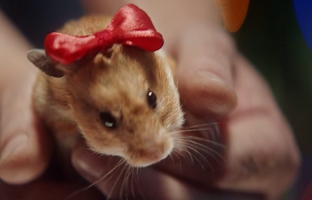 RT поздравил европейцев с Рождеством видеороликом про «сказку о хомячке»