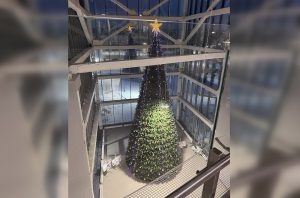 16-метровую елку установили в «Школе 800» в Верхних Печерах