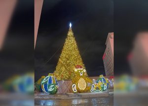 Новогоднюю елку установили у Московского вокзала в Нижнем Новгороде