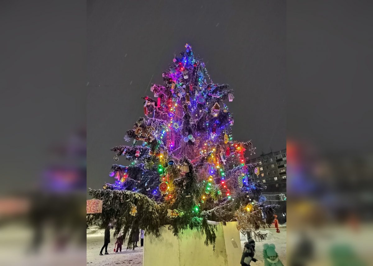 Ранее спиленную новогоднюю елку в сквере 70 лет Октября вернули обратно