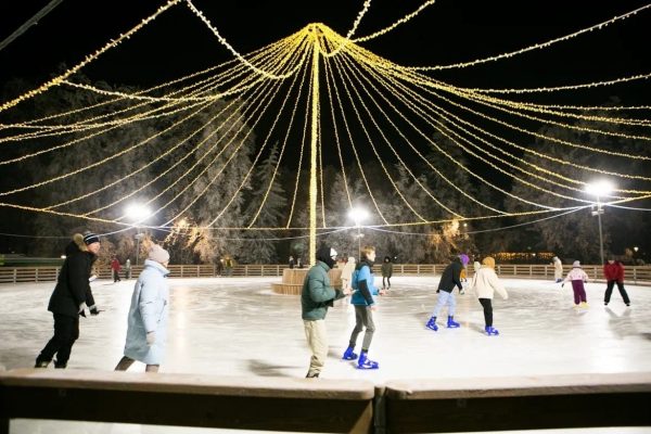 Нижегородец сделал предложение руки и сердца на катке в «Швейцарии»
