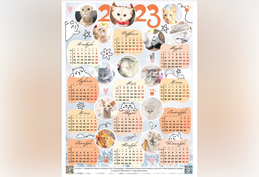Самые милые коты и кошки украсили праздничный календарь в «Нижегородской правде»