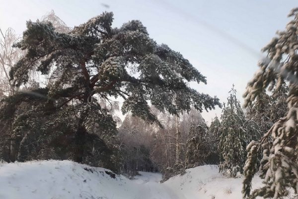 Приметы на 16 марта: что можно и чего нельзя делать в этот день