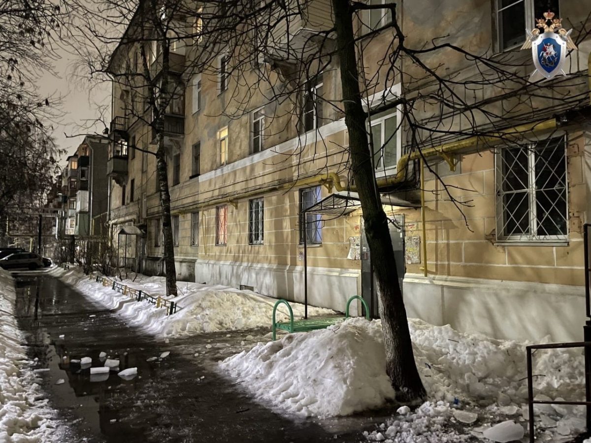 Глыба льда упала с крыши на 2‑летнего ребенка в Нижнем Новгороде