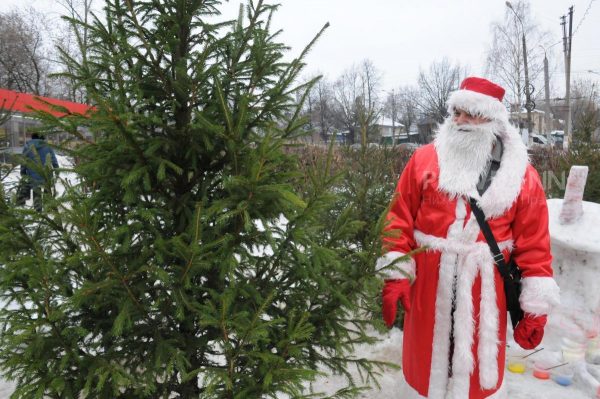 Три нелегальных елочных базара обнаружили в Нижнем Новгороде