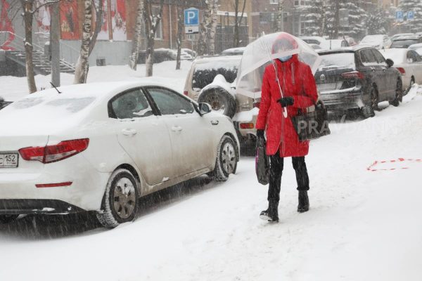 МЧС предупредило нижегородцев о надвигающемся снегопаде и сильном ветре