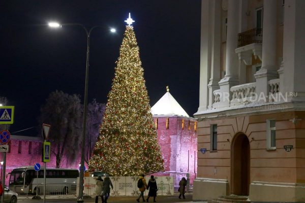 48% нижегородцев не чувствуют приближения Нового года