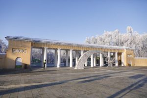 Нижегородцы смогут бесплатно проверить здоровье в парке «Швейцария»