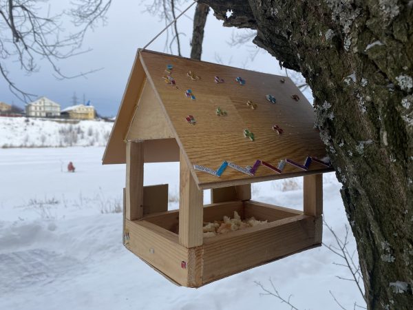 20 кормушек для птиц смастерили школьники для парков Советского района