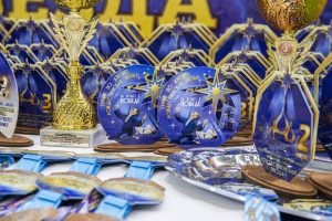 Соревнования по дзюдо «Рождественская звезда» прошли в Дзержинске