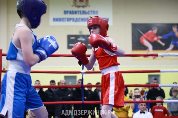 В Дзержинске завершилось первенство Нижегородской области по боксу