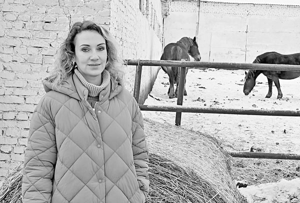 В Нижегородской области возрождают исчезающую породу лошадей — советский тяжеловоз