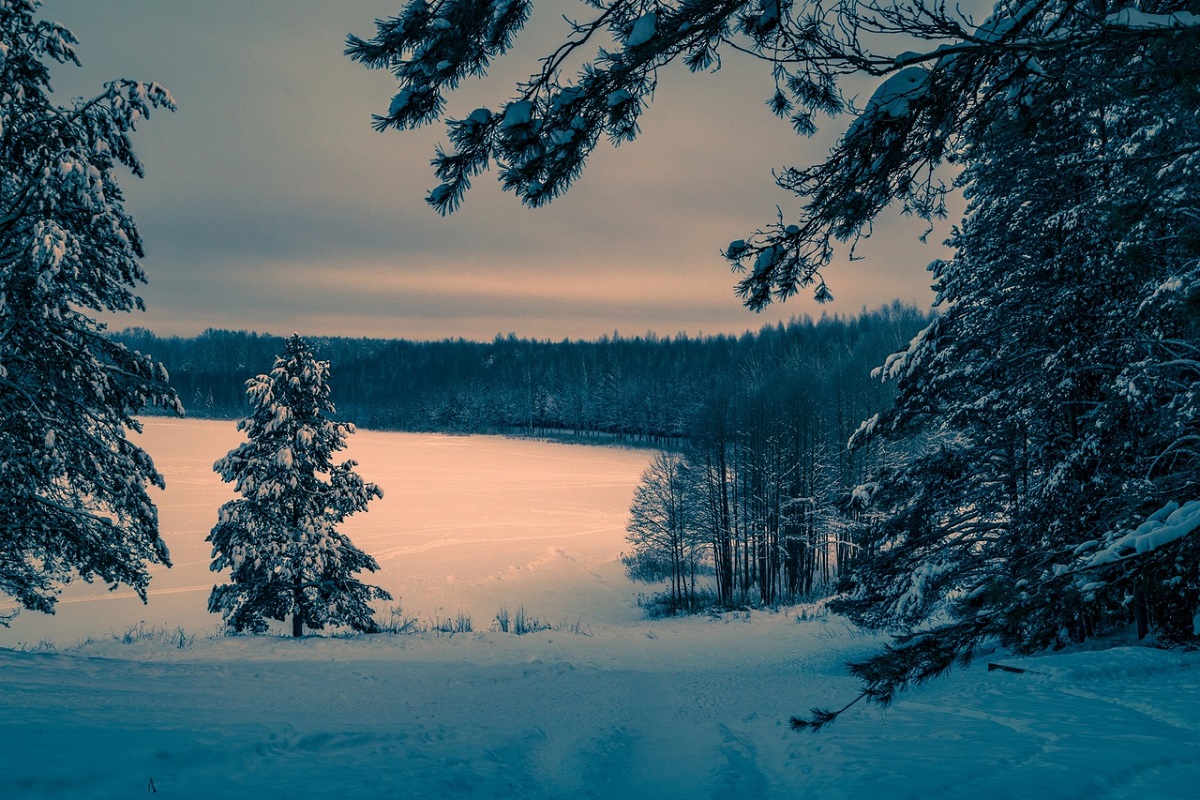 Озеро надежды: нижегородский Светлояр признали «местом силы»