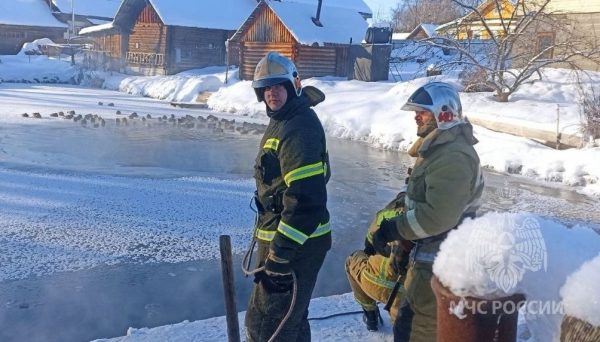 Более 30 замерзающих уток спасли пожарные в Ковернино