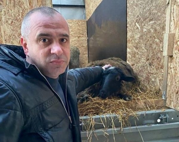 20 овечек и баранов передали бойцам из Дзержинска в Белгородскую область