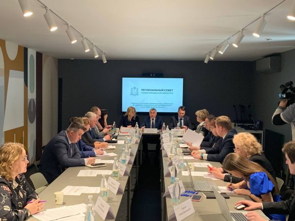 Комиссия нижегородского регсовета вместе с экспертами разработает методы совершенствования демографической политики