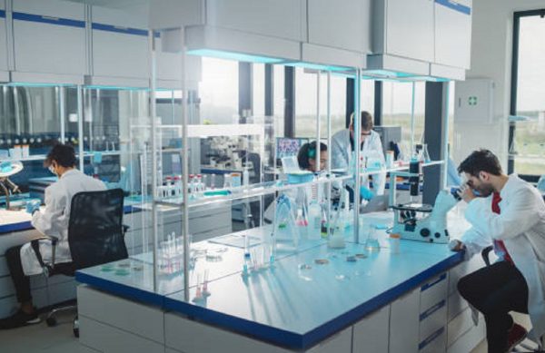 В Петербурге меценатам, помогающим вузам и колледжам, вернут налоги