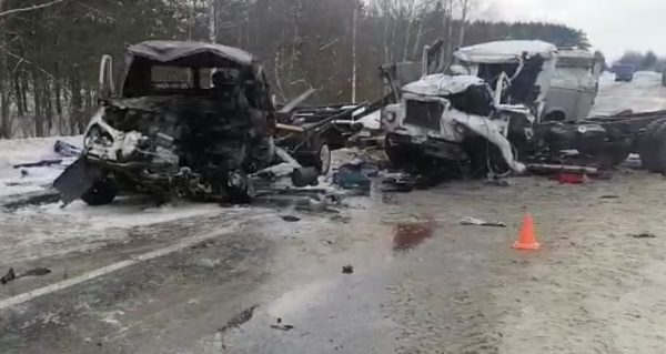 Уснувший за рулем мужчина погиб в ДТП в Кулебакском районе