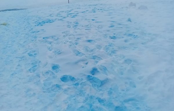Синий снег обнаружили на Святом озере в Дзержинске