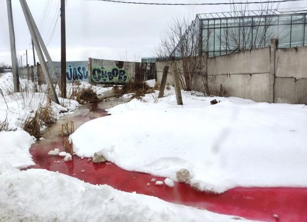 Агрокомбинат «Горьковский» обязали ликвидировать сброшенные сточные воды в Нижнем Новгороде