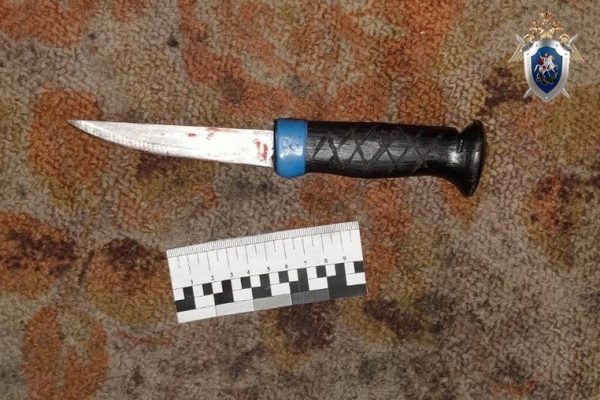 Племянник зарезал своего дядю из-за похорон родственницы в Лысковском районе