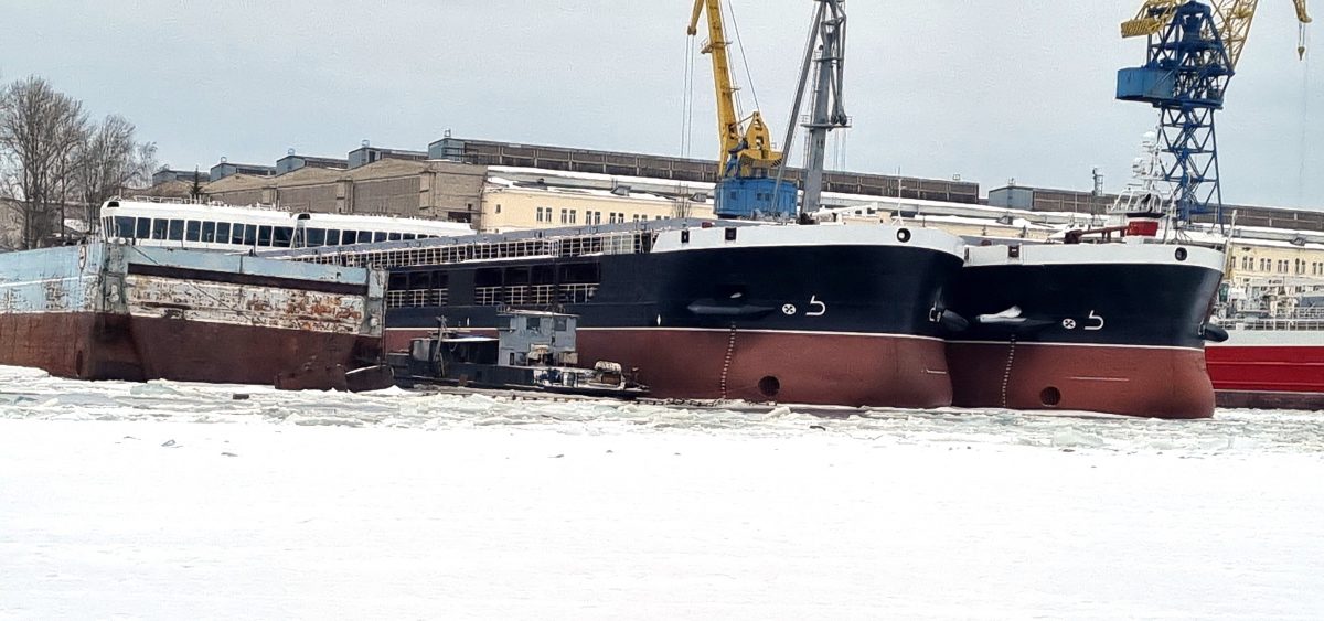 Росприроднадзор проводит внеплановую проверку из-за затонувшего судна в Сормовском затоне