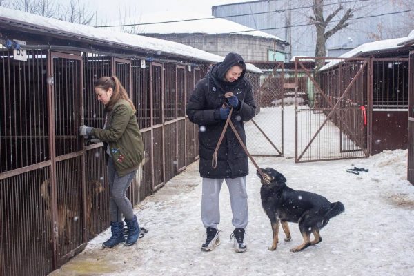 Нижегородские баскетболисты помогли животным из благотворительного фонда «Сострадание-НН»