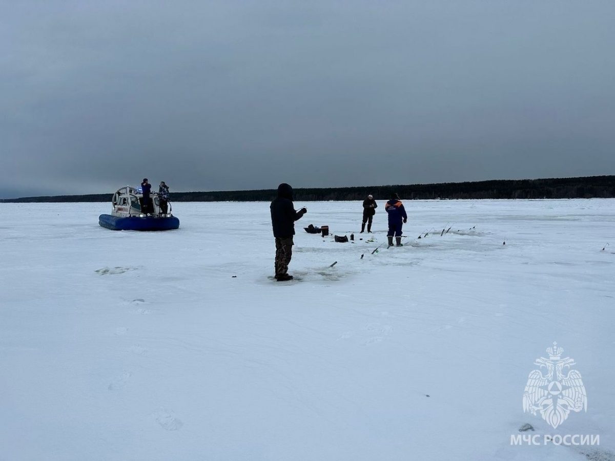 Спасатели доставили на берег 20 рыбаков и собаку с оторвавшейся льдины в Финском заливе