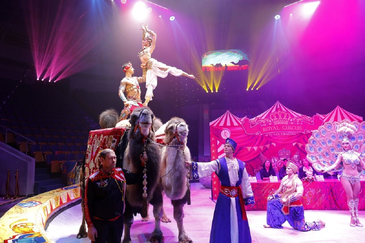 Стартовал розыгрыш билетов в цирк на шоу Гии Эрадзе «5 континентов»