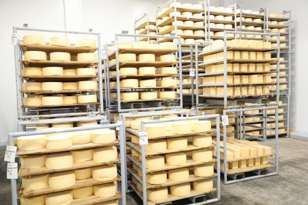 5,6 тысячи тонн сливочного масла произвели в Нижегородской области в 2022 году