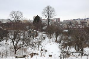 Правительство России не поддержало идею изъятия заброшенных участков у дачников