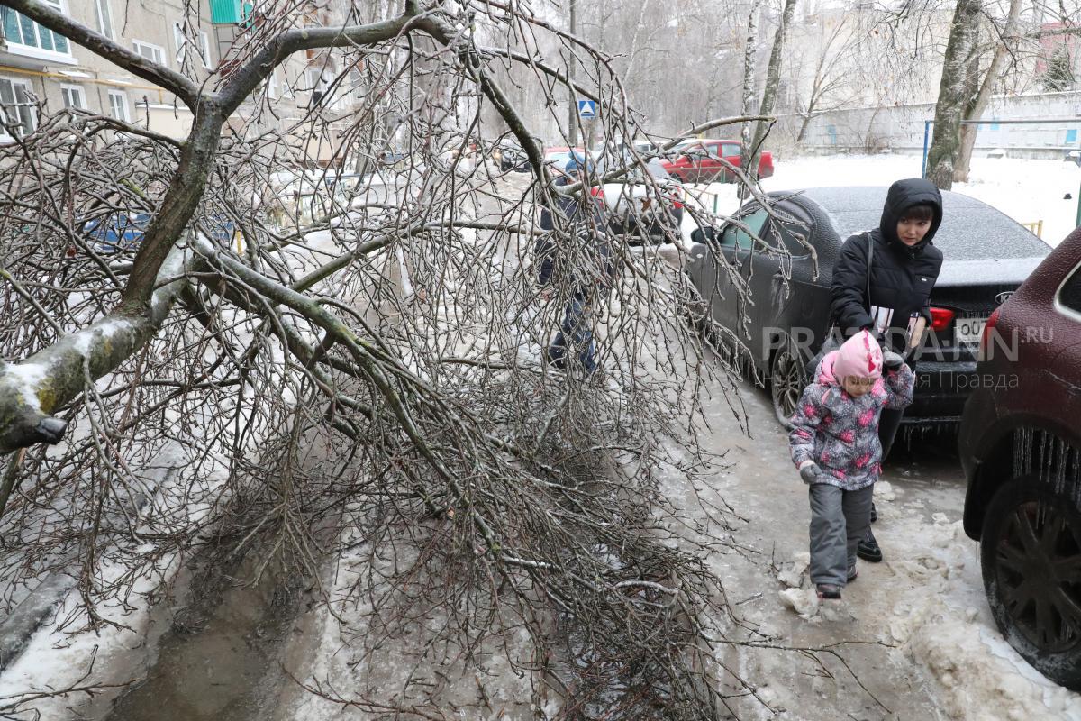 Сроки выплат компенсаций пострадавшим от ледяного дождя продлили до марта в Нижегородской области
