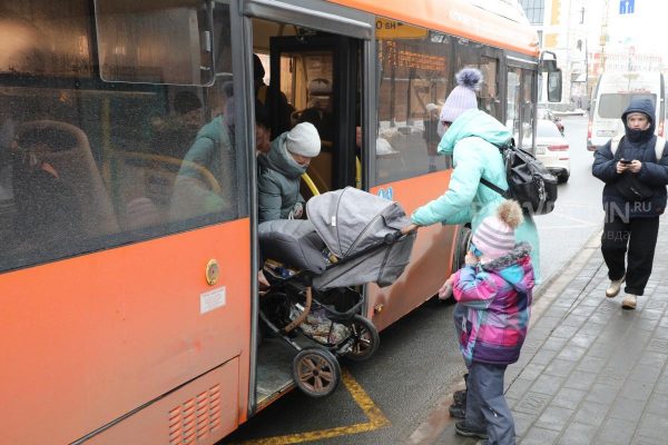 Более 30 тысяч многодетных семей проживает в Нижегородской области