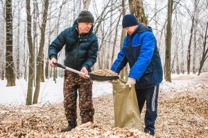 50 мешков древесных опилок направили в балахнинский зоопарк из парка «Швейцария»