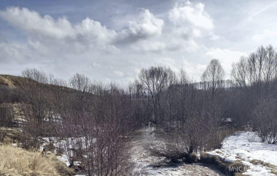 Мужчина утонул в реке Вачка в Сеченовском округе
