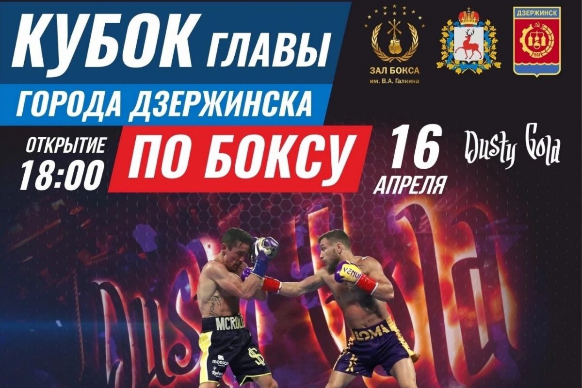 Боксерский турнир на Кубок главы города Дзержинска состоится в апреле