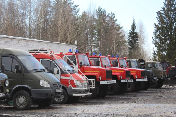 На охрану лесов от пожаров в Нижегородской области в 2023 году направлено более 370 млн рублей