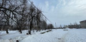 Детская и спортивная площадки появятся на аллее на улице Центральной в Новинках