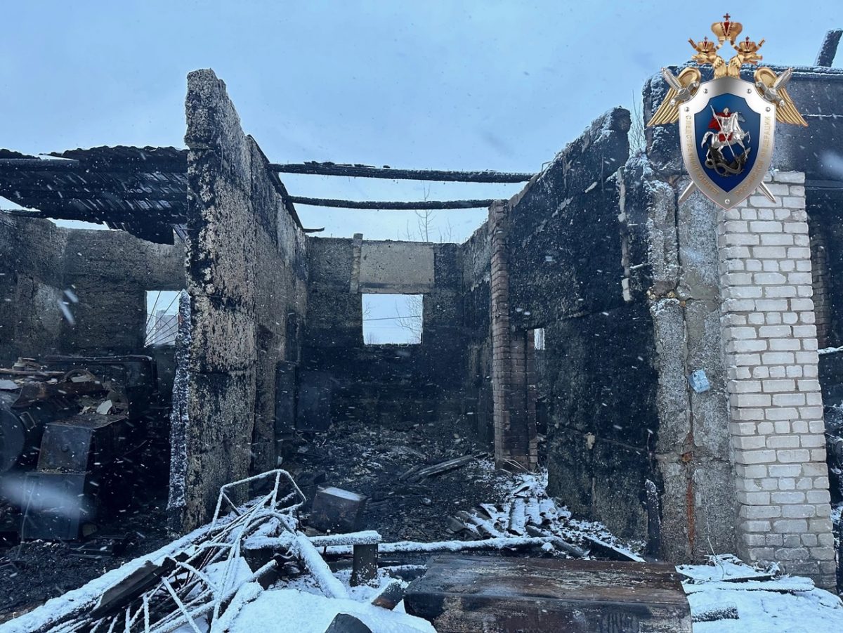 СК организовал проверку из-за гибели мужчины при пожаре в деревне Шеманиха в Нижегородской области