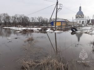 Придомовые участки подтопило в селе Чуфарово в Сергачском районе