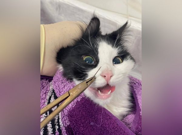 Дуська в шоке